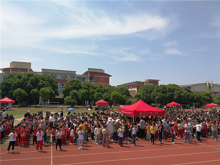 流动少年宫走进大桥镇中心小学