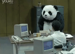 熊猫摔桌.gif