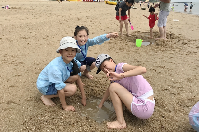 动图4.jpg 动图4.jpg
