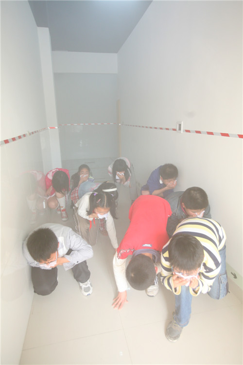 1491968769319018606.jpg ���鹃����.jpg